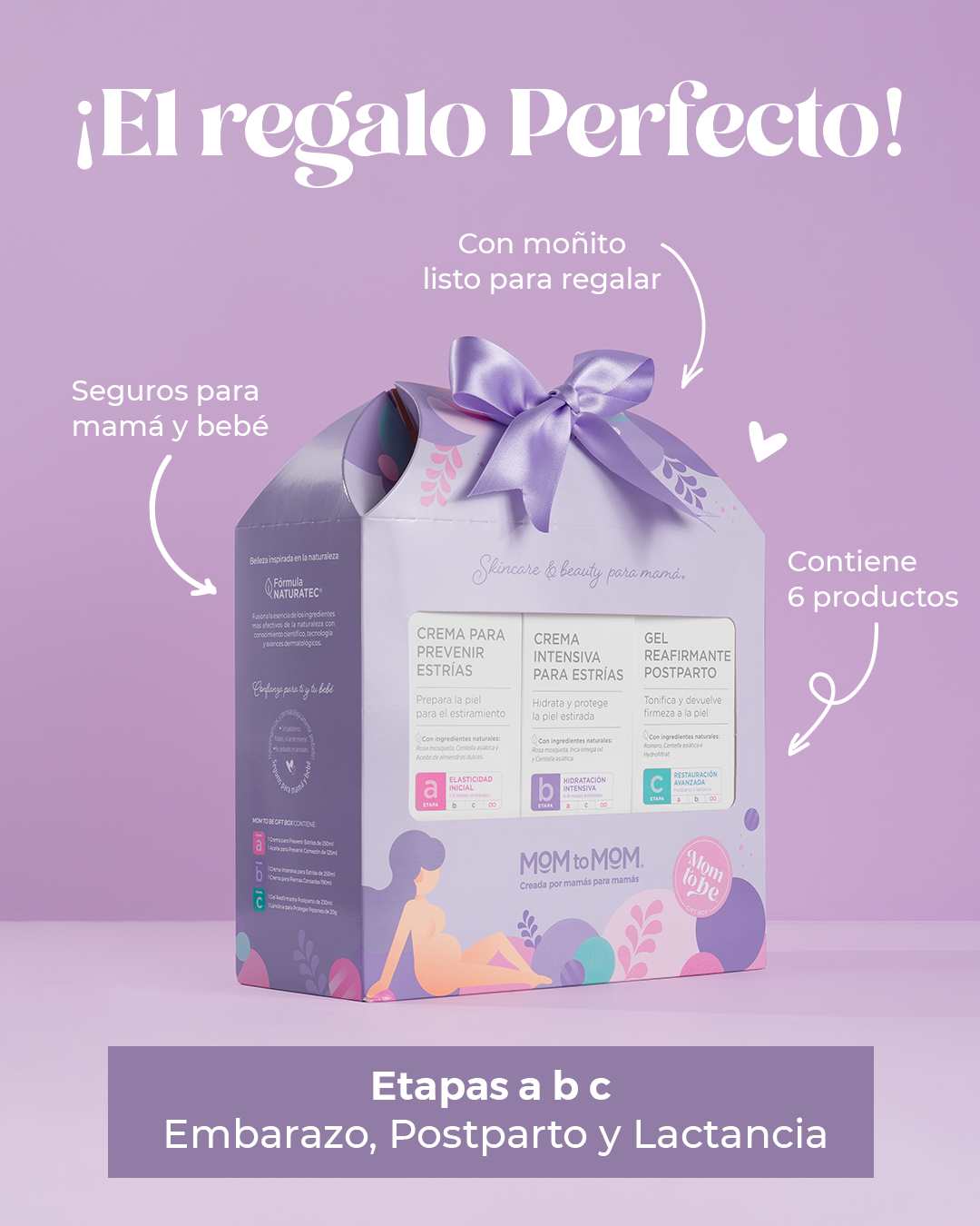 Kit El Regalo Perfecto MOM to MOM ®