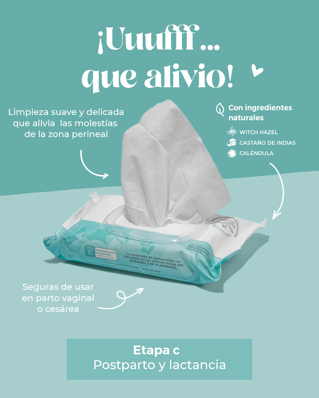 Toallitas Limpiadoras Postparto MOM to MOM ® Etapa c